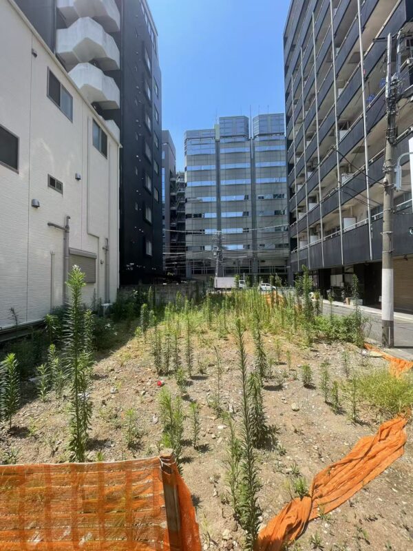 元浅草1丁目土地
